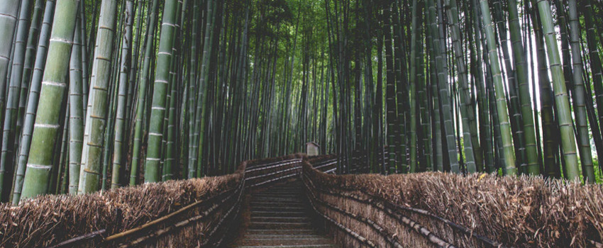 arashiyamaa.jpg